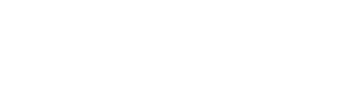 BlueWMedia Logo
